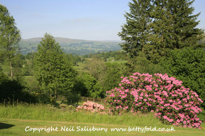 Betty Fold Self Catering Holidays Hawkshead Cumbria